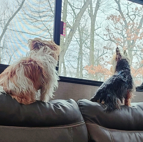 Meet your Posher, Debbie - Picture 7 of 12